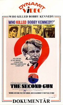 Who Killed Bobby Kennedy