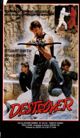 Destroyer