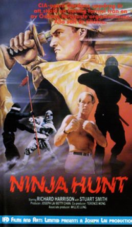 Ninja Hunt