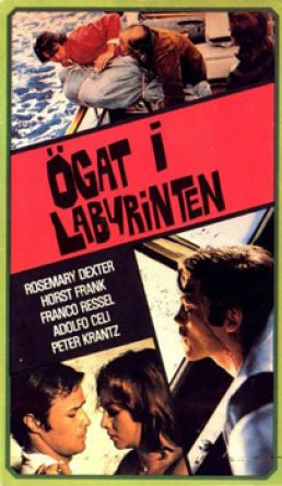 Ögat I Labyrinten