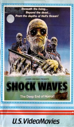 Shock Waves