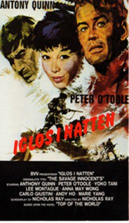 Iglos I Natten