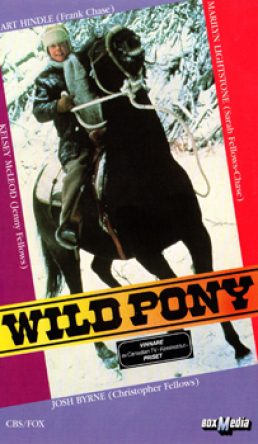 Wild Pony