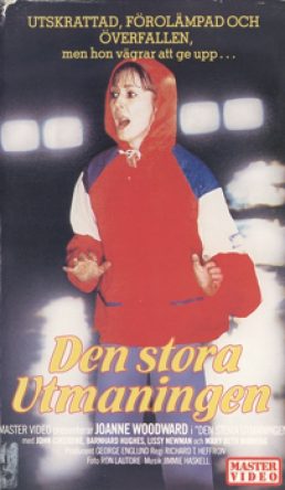 Den Stora Utmaningen