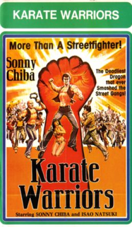 Karate Warriors