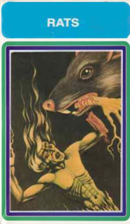 Rats