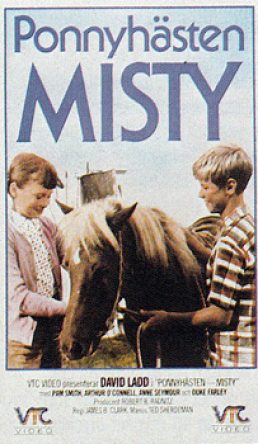 Ponnyhästen Misty