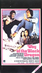 Way of Black Dragon (The)