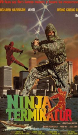 Ninja Terminator