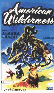 American Wilderness