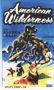 American Wilderness