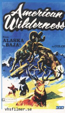 American Wilderness