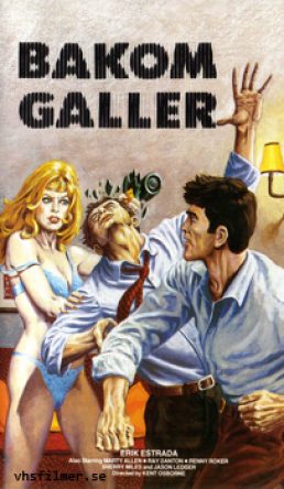 Bakom Galler