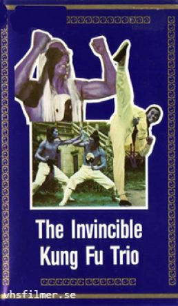 Invisible Kung Fu Trio (The)
