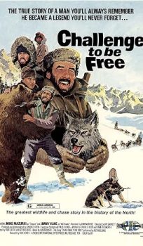 Challenge to Be Free